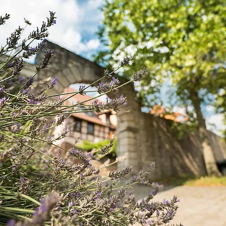 بيت ضيافة Gaestehaus Moenchshof سومرهاوزن
