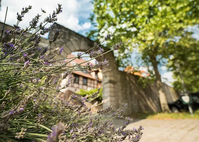 Penzion Gaestehaus Moenchshof 3*